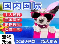 湛江吴川国际宠物托运 【国